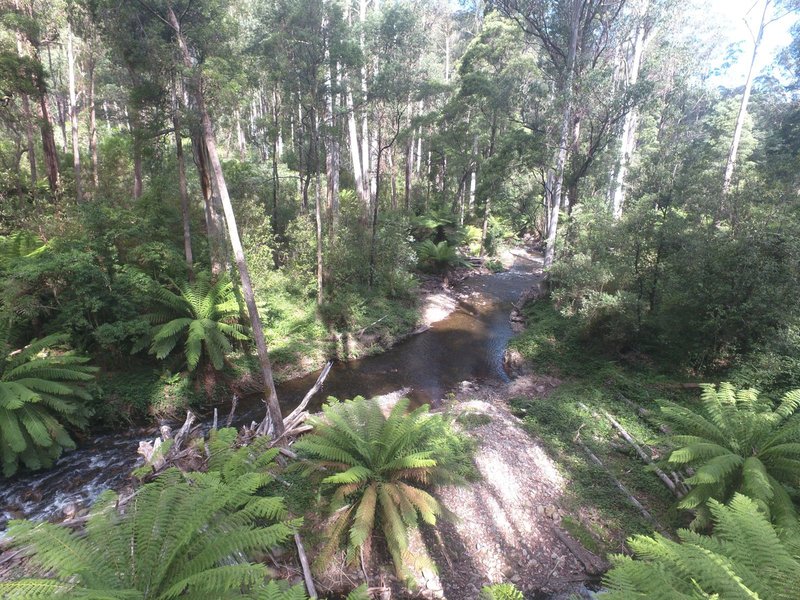 Photo - 114 Duggan North Road, Fumina VIC 3825 - Image 8