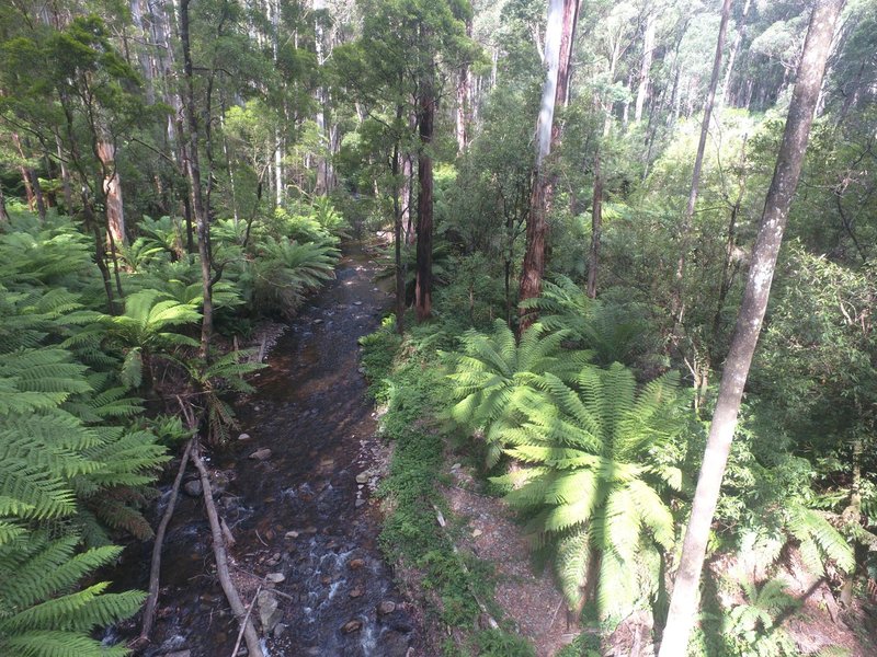 Photo - 114 Duggan North Road, Fumina VIC 3825 - Image 9