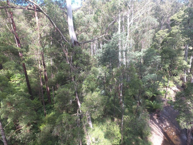 Photo - 114 Duggan North Road, Fumina VIC 3825 - Image 10