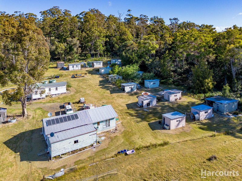 Photo - 114 Hursts Road, Pipers River TAS 7252 - Image 2