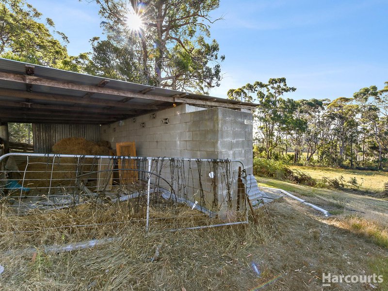 Photo - 114 Hursts Road, Pipers River TAS 7252 - Image 27