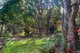 Photo - 114 Macdonald Road, Palmwoods QLD 4555 - Image 13