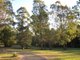 Photo - 114 Maulbrooks Road, Mogo NSW 2536 - Image 12