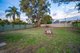 Photo - 114 River View Avenue, South Guildford WA 6055 - Image 24