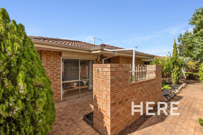 Photo - 1/14 Sylvia Street, Balcatta WA 6021 - Image 1