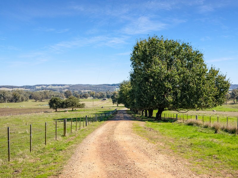 Photo - 114 Thomas Lane, Greta South VIC 3675 - Image 7