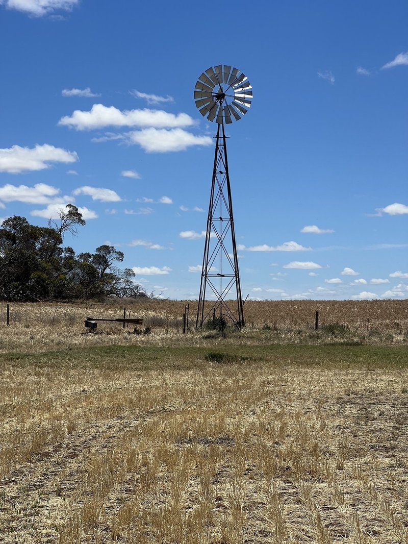 Photo - 1140, 1148 Rosy Pine Road, Pinnaroo SA 5304 - Image 17