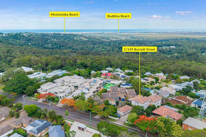 Photo - 1/149 Burnett Street, Buderim QLD 4556 - Image 5