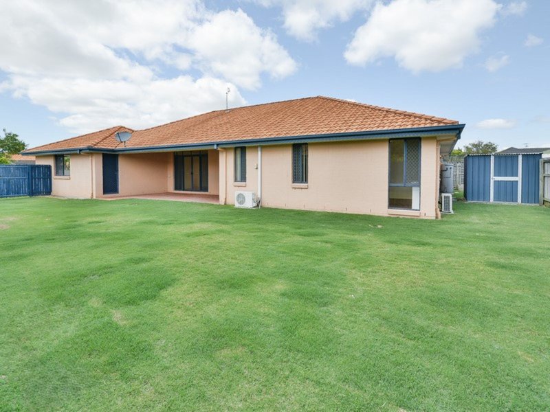 Photo - 115 Albany Street, Sippy Downs QLD 4556 - Image 3