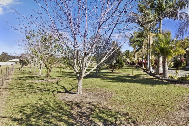 Photo - 115 Corindi Park Drive, Corindi Beach NSW 2456 - Image 17