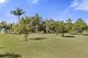 Photo - 115 Corindi Park Drive, Corindi Beach NSW 2456 - Image 20