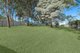 Photo - 115 Dobell Drive, Wangi Wangi NSW 2267 - Image 7