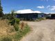 Photo - 115 Gelliondale Road, Gelliondale VIC 3971 - Image 1