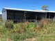 Photo - 115 Gelliondale Road, Gelliondale VIC 3971 - Image 8