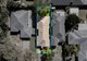 Photo - 115 Mulgrave Crescent, Forest Lake QLD 4078 - Image 14