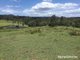 Photo - 115 Newspaper Hill Road, Belli Park QLD 4562 - Image 11