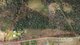 Photo - 115 Old Bowen Coach Road, Balnagowan QLD 4740 - Image 2