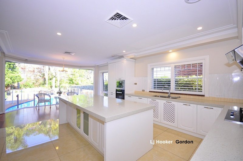 Photo - 115 Springdale Road, Killara NSW 2071 - Image 7