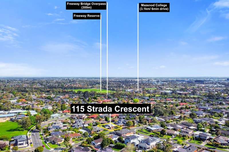 Photo - 115 Strada Crescent, Wheelers Hill VIC 3150 - Image 15