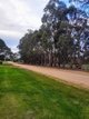 Photo - 115 Third Avenue, Kendenup WA 6323 - Image 13