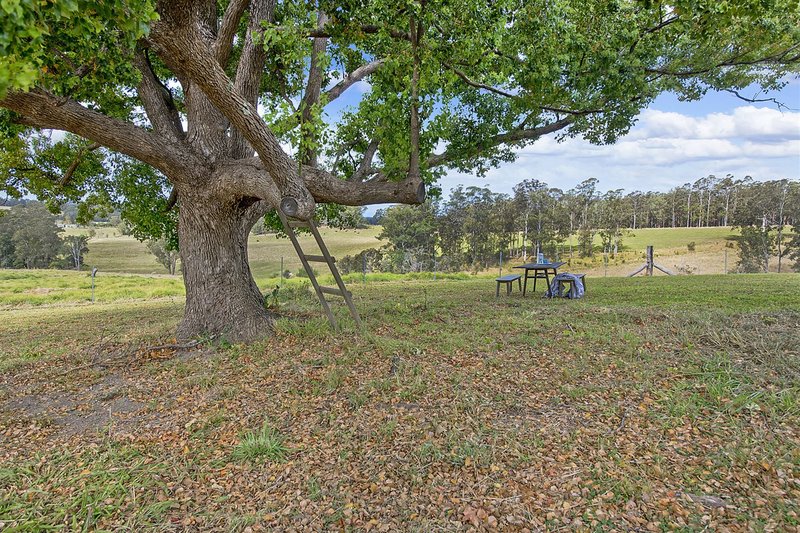 Photo - 115 West Frazers Creek Road, Frazers Creek NSW 2446 - Image 12