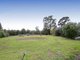 Photo - 1150 Werombi Road, Theresa Park NSW 2570 - Image 15