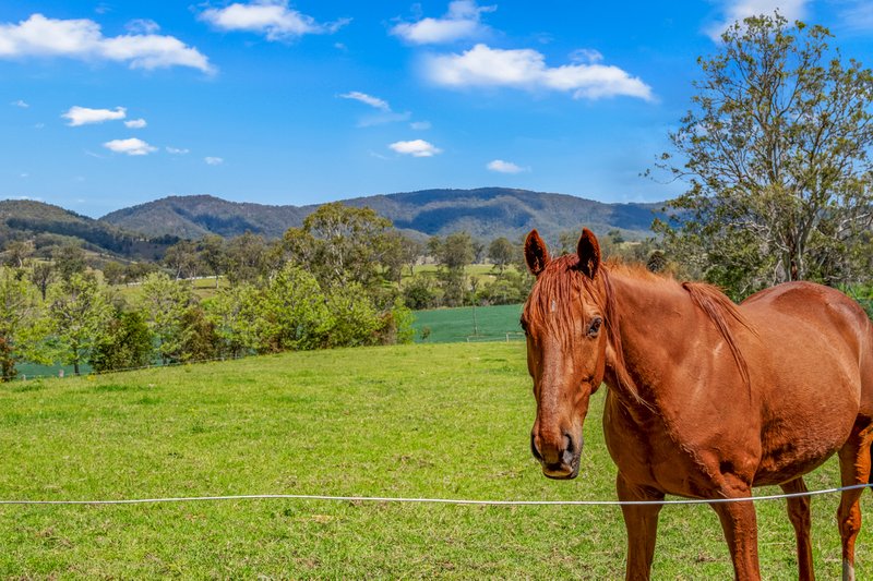 Photo - 1152 Barrington West Road, Gloucester NSW 2422 - Image 7