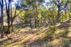 Photo - 1153 Nanima Road, Murrumbateman NSW 2582 - Image 25