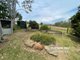 Photo - 11535 Mount Lindesay Hwy , Palen Creek QLD 4287 - Image 24