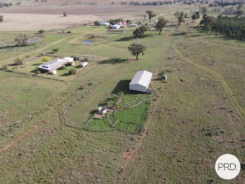 1157 Coonabarabran Road, Mendooran NSW 2842