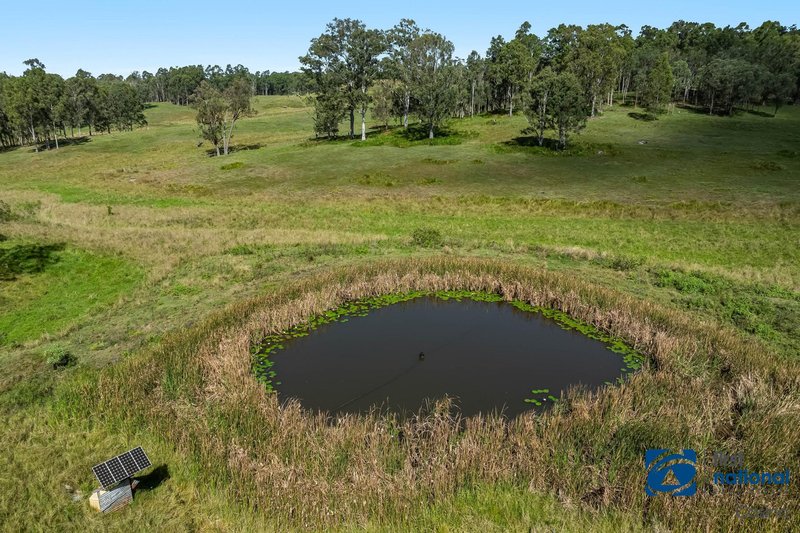 Photo - 1158 Dyraaba Road, Dyraaba NSW 2470 - Image 3