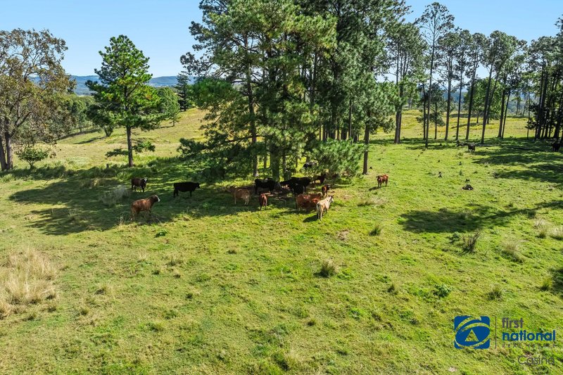 Photo - 1158 Dyraaba Road, Dyraaba NSW 2470 - Image 15