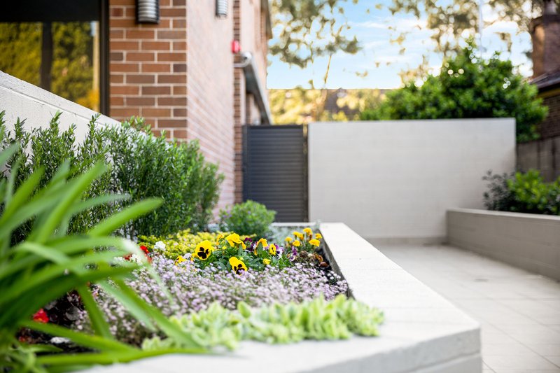 Photo - 11/589-591 New Canterbury Road, Dulwich Hill NSW 2203 - Image 11