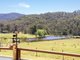 Photo - 116 Big Jack Mountain Road, Burragate NSW 2550 - Image 6