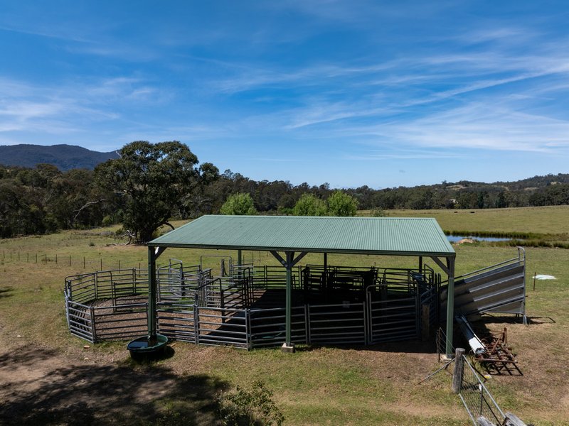 Photo - 116 Big Jack Mountain Road, Burragate NSW 2550 - Image 25