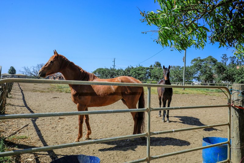 Photo - 116 Douglas Road, Alloway QLD 4670 - Image 7