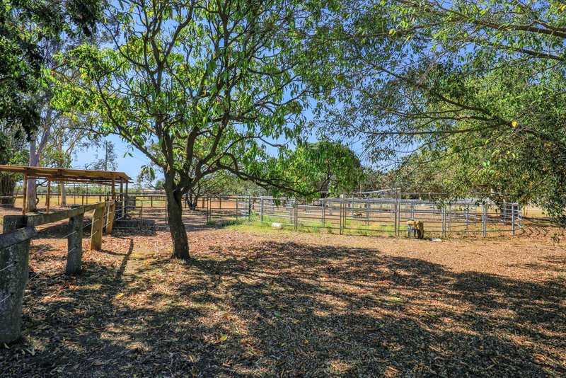 Photo - 116 Douglas Road, Alloway QLD 4670 - Image 9