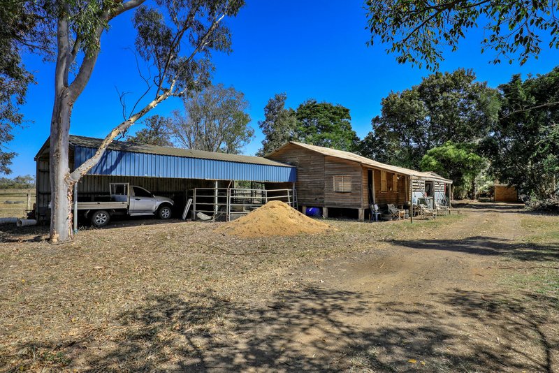 Photo - 116 Douglas Road, Alloway QLD 4670 - Image 31