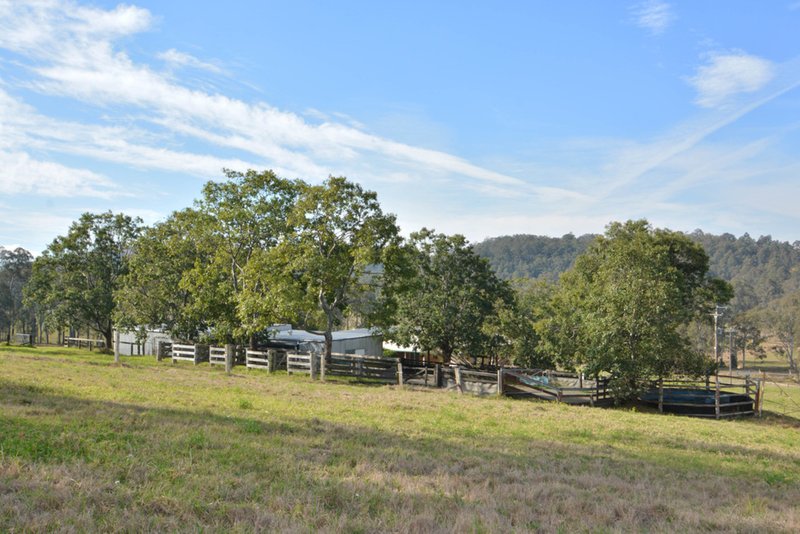 Photo - 116 Marshdale Road, Dungog NSW 2420 - Image 13