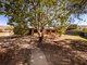 Photo - 116 Memorial Avenue, Gillen NT 0870 - Image 2