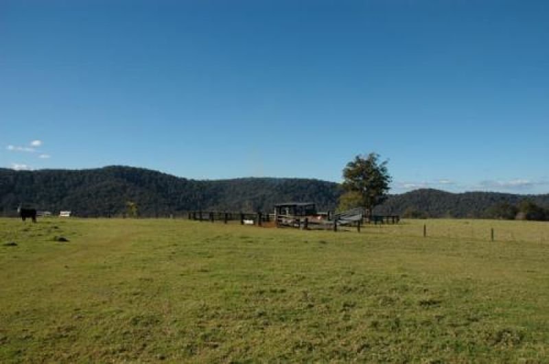 Photo - 116 Mollydale Road, Tyringham NSW 2453 - Image 5