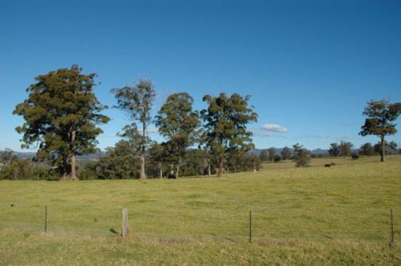 Photo - 116 Mollydale Road, Tyringham NSW 2453 - Image 10