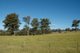 Photo - 116 Mollydale Road, Tyringham NSW 2453 - Image 10