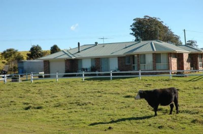 Photo - 116 Mollydale Road, Tyringham NSW 2453 - Image 12