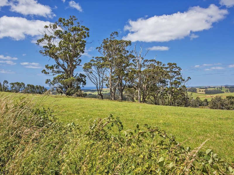 Photo - 116 Old Mount Hicks Road, Wynyard TAS 7325 - Image 10