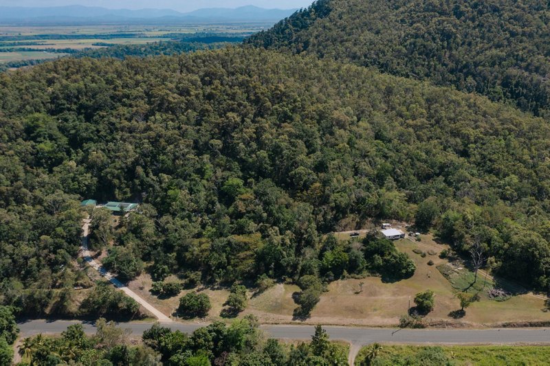 Photo - 116 Rifle Range Road, Mount Marlow QLD 4800 - Image 6