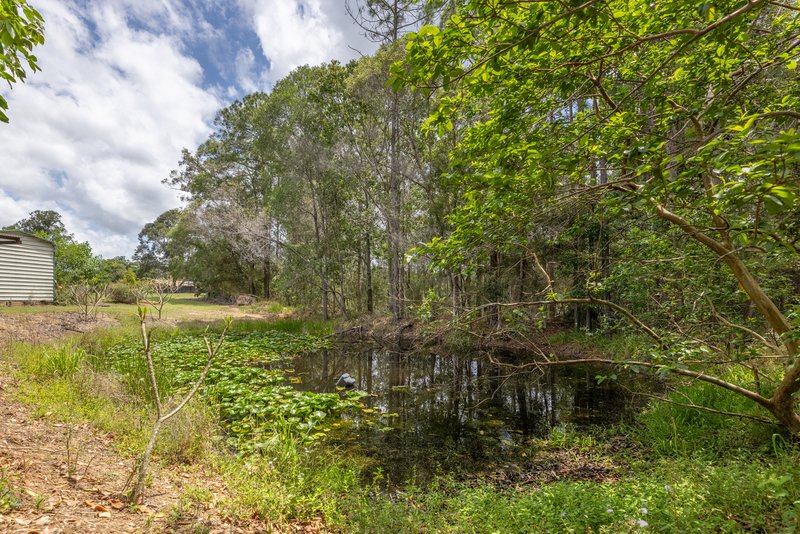 Photo - 116 W Lindsay Road, Wamuran QLD 4512 - Image 35