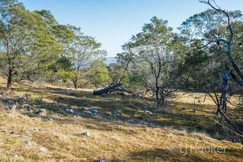 Photo - 1162 Windermere Road, Swan Bay TAS 7252 - Image 6