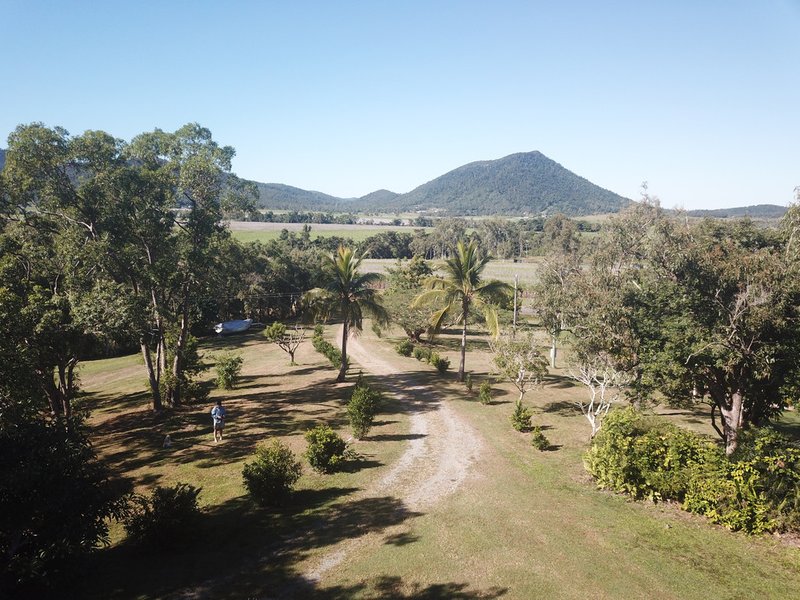 Photo - 1165 Gregory Cannon Valley Road, Gregory River QLD 4800 - Image 5