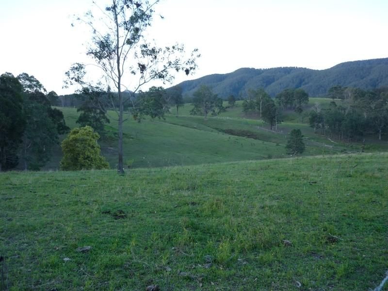 Photo - 1/1677 Thunderbolts Way, Rookhurst NSW 2422 - Image 3